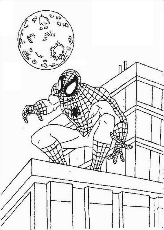 Spiderman coloring page