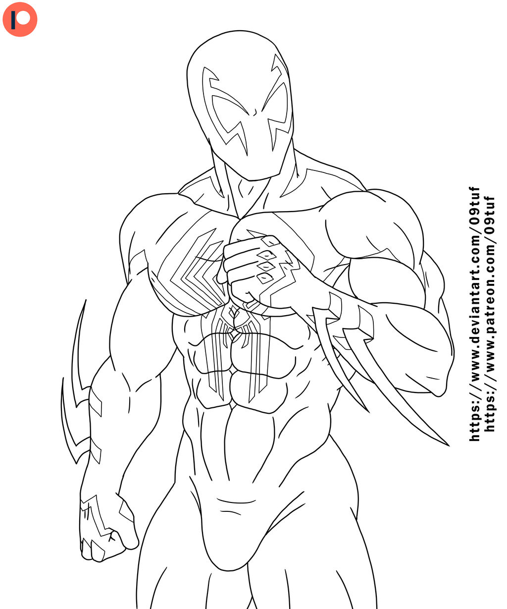 Spider