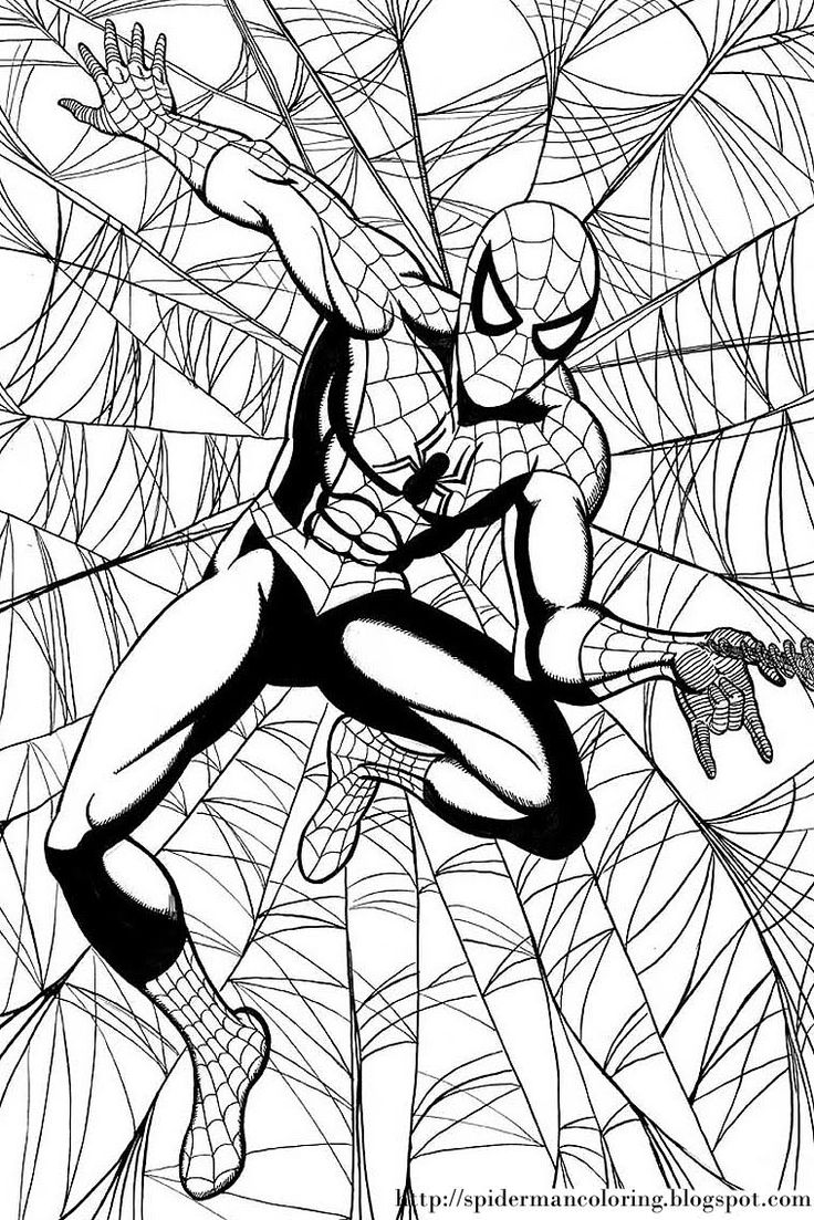 Spiderman coloring free spiderman coloring cartoon coloring pages spiderman coloring superhero coloring pages