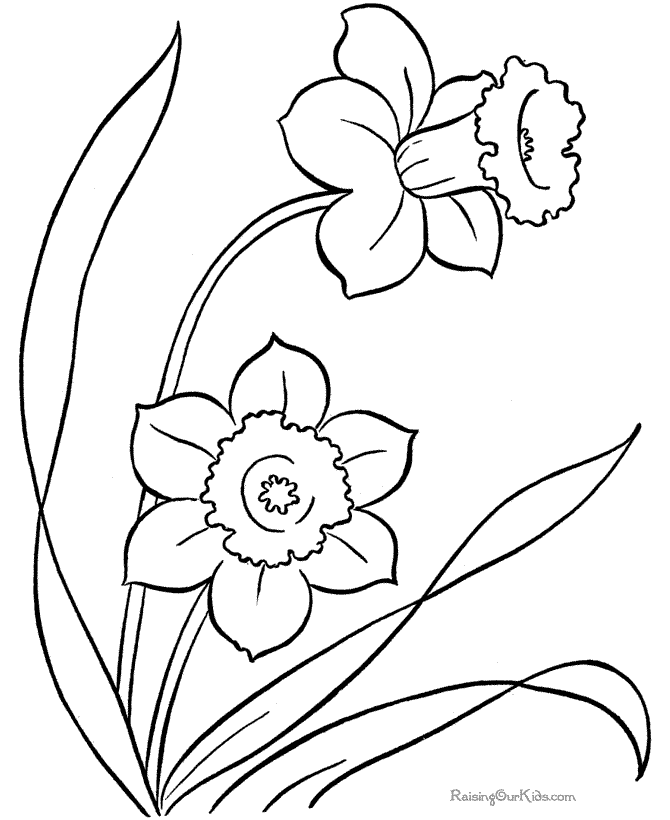 Flowers in spring coloring page