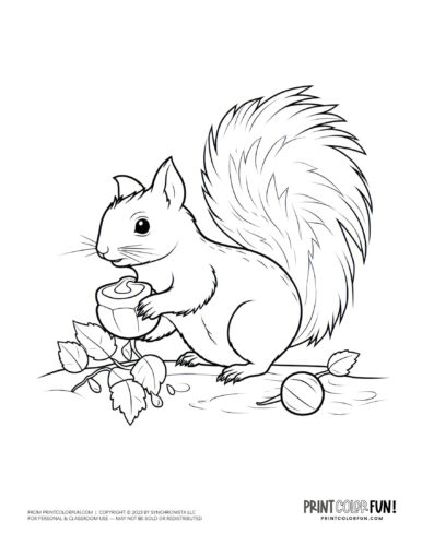 Acorn coloring pages printable clipart at