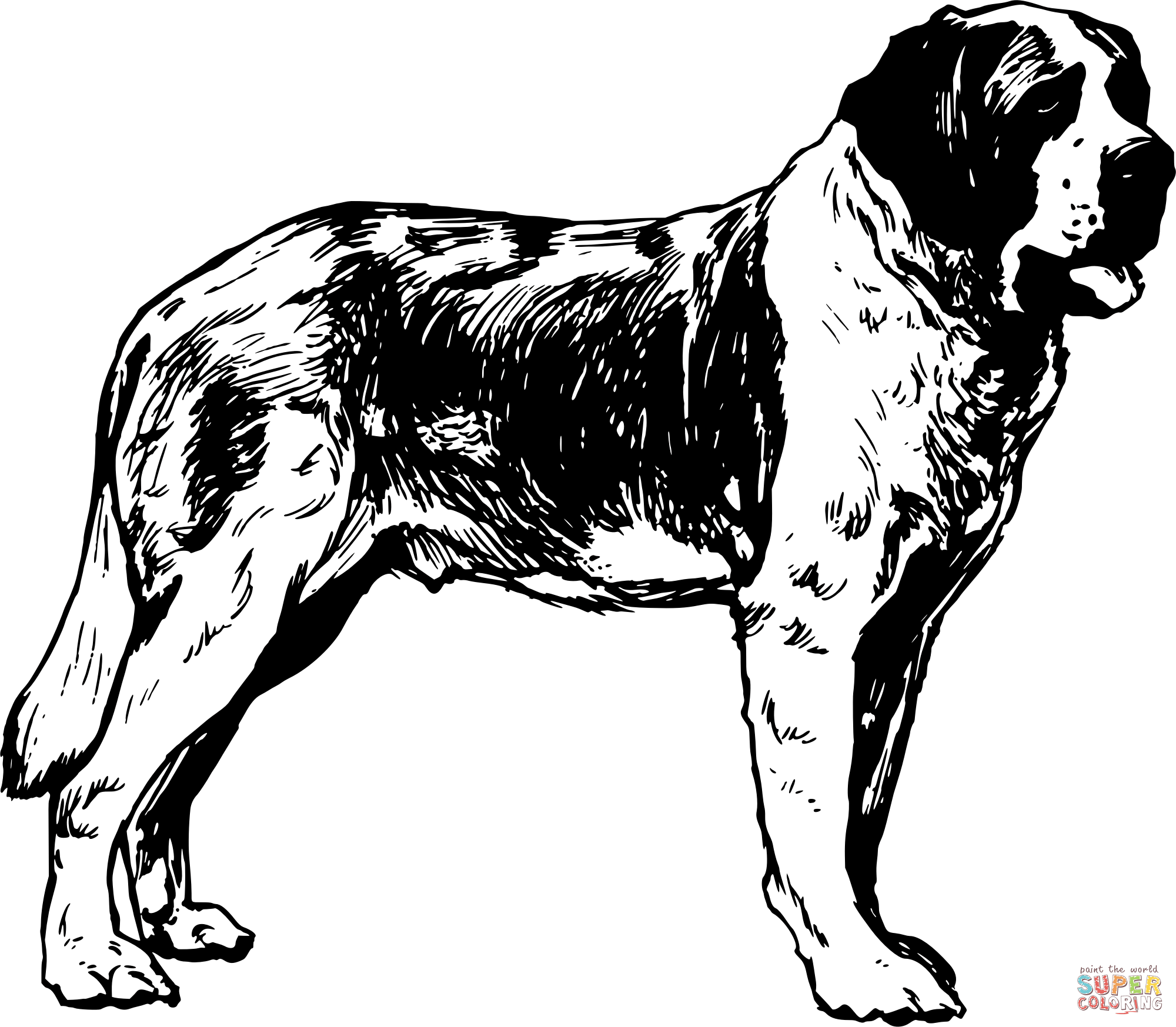Vintage st bernard coloring page free printable coloring pages