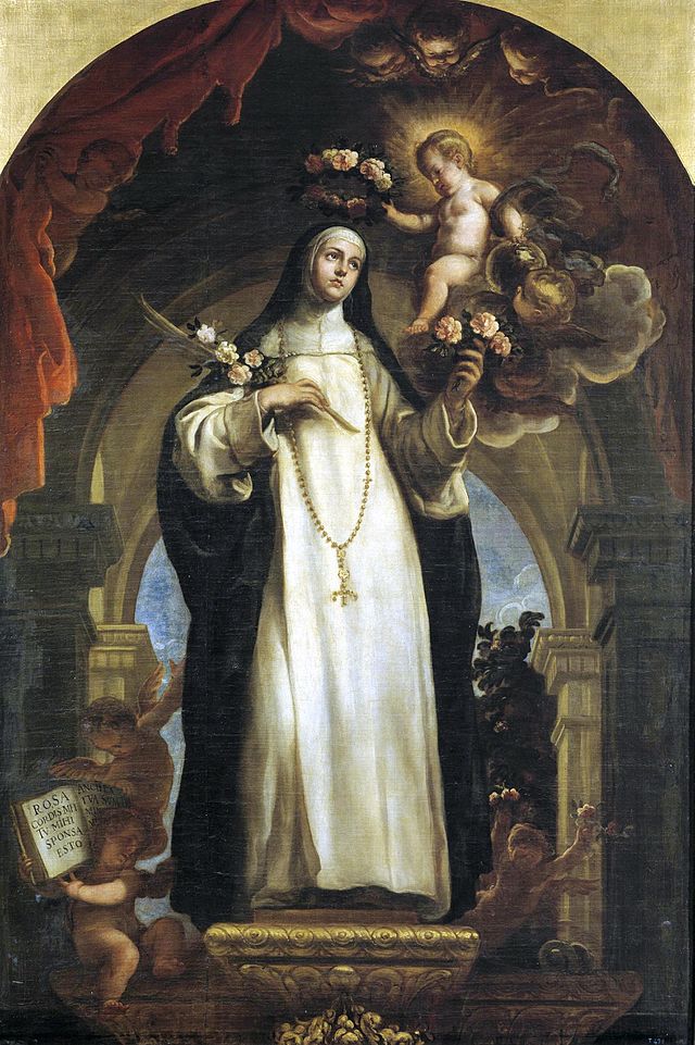 Rose of lima