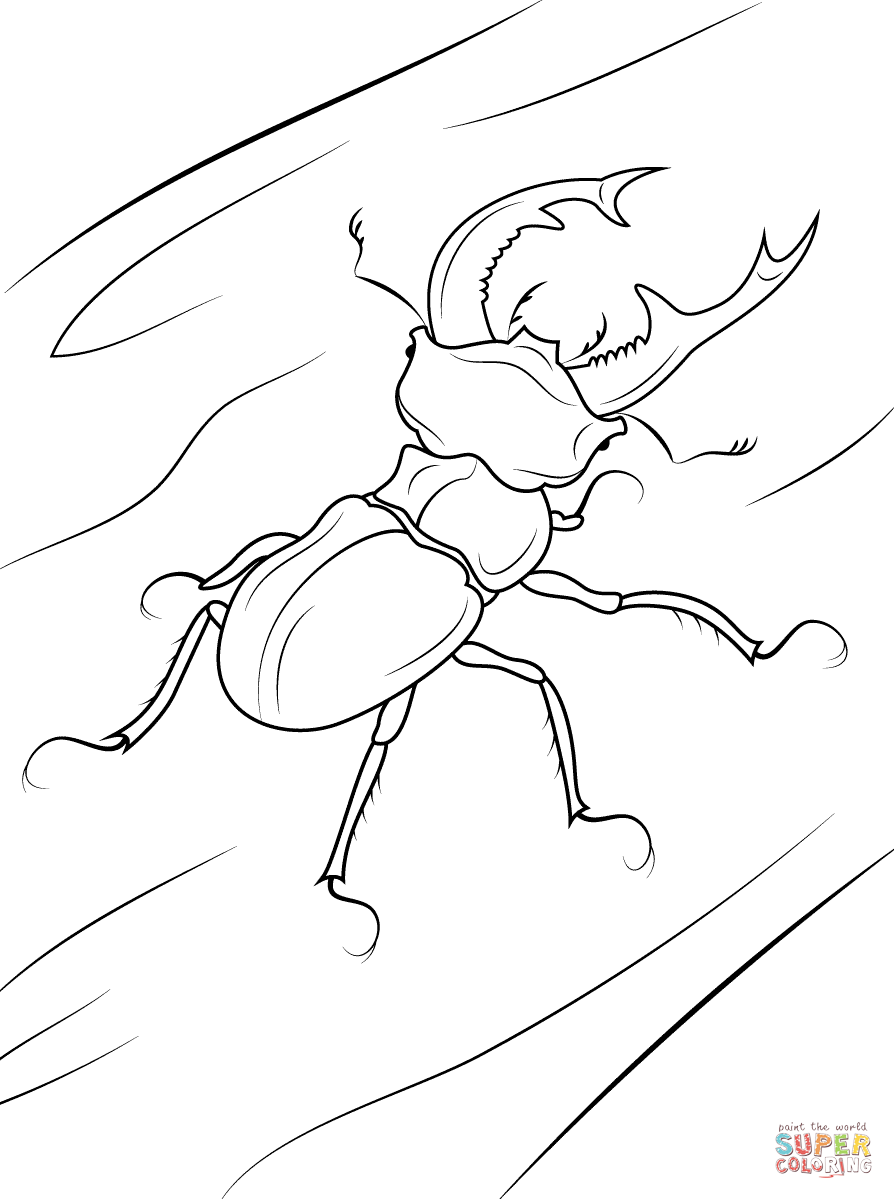 Stag beetle coloring page free printable coloring pages