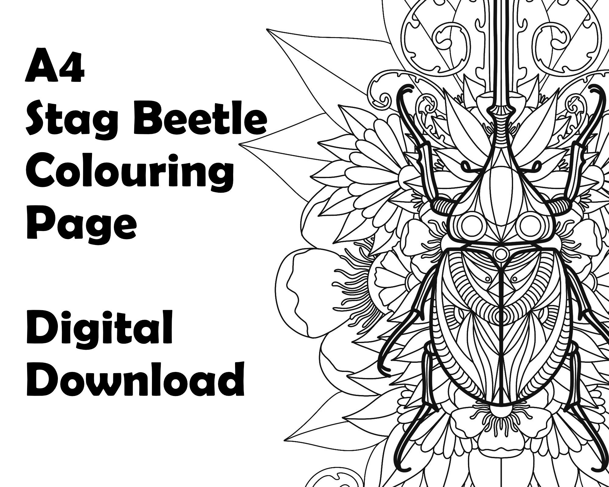 Stag beetle colouring page printable a size insect coloring page for adults instant digital download for diy home decor and art therapy