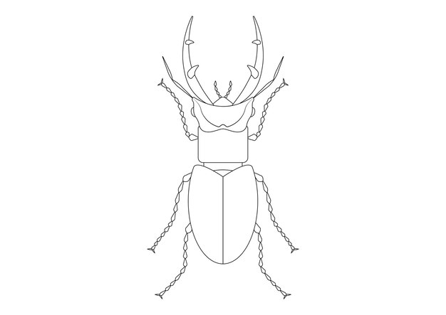 Premium vector black and white giant stag beetle clipart coloring page of a giant stag beetle
