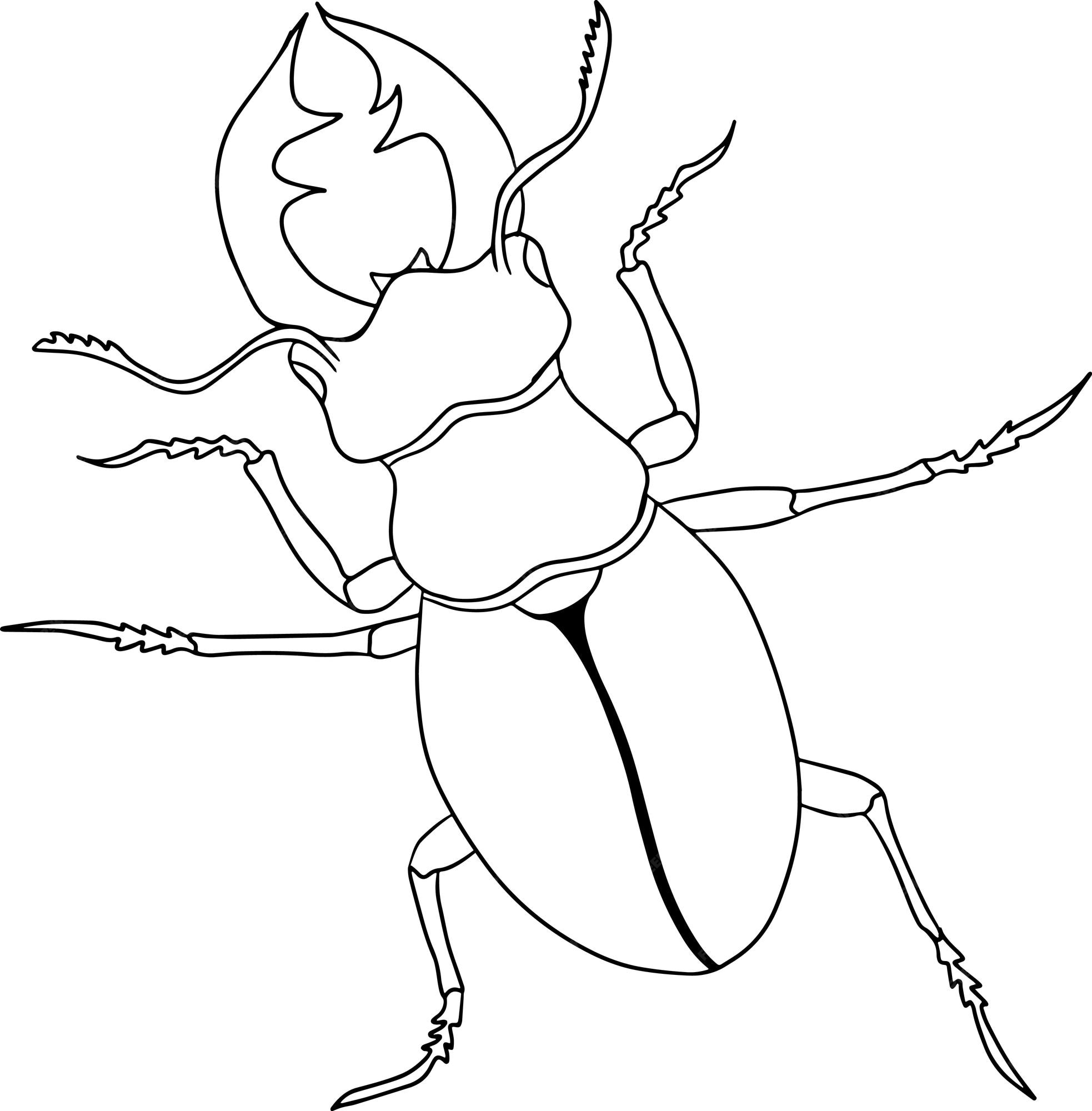 Premium vector deer beetle beetles coloring pages detailed illustration bugs vector hand drawn illustration