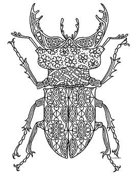 Stag beetle pinching bug insect zentangle coloring page by pamela kennedy