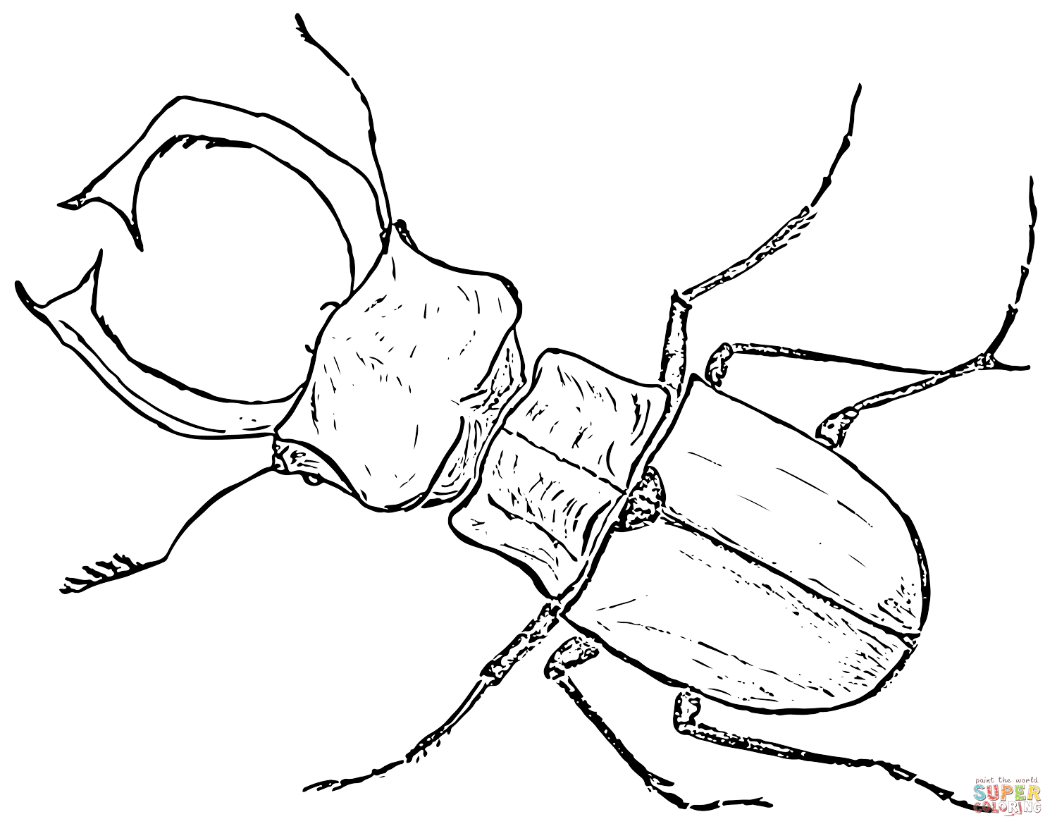 Stag beetle coloring page free printable coloring pages