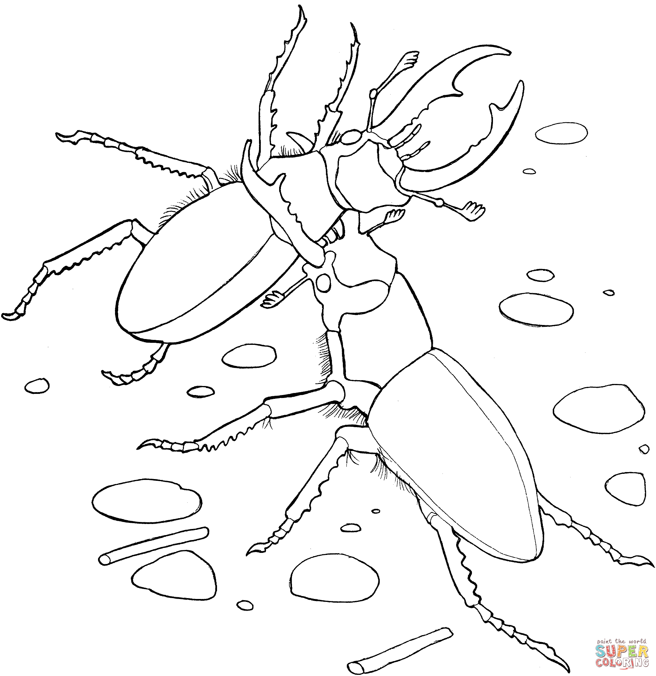 Elephant stag beetles coloring page free printable coloring pages
