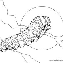 Stag beetle coloring pages
