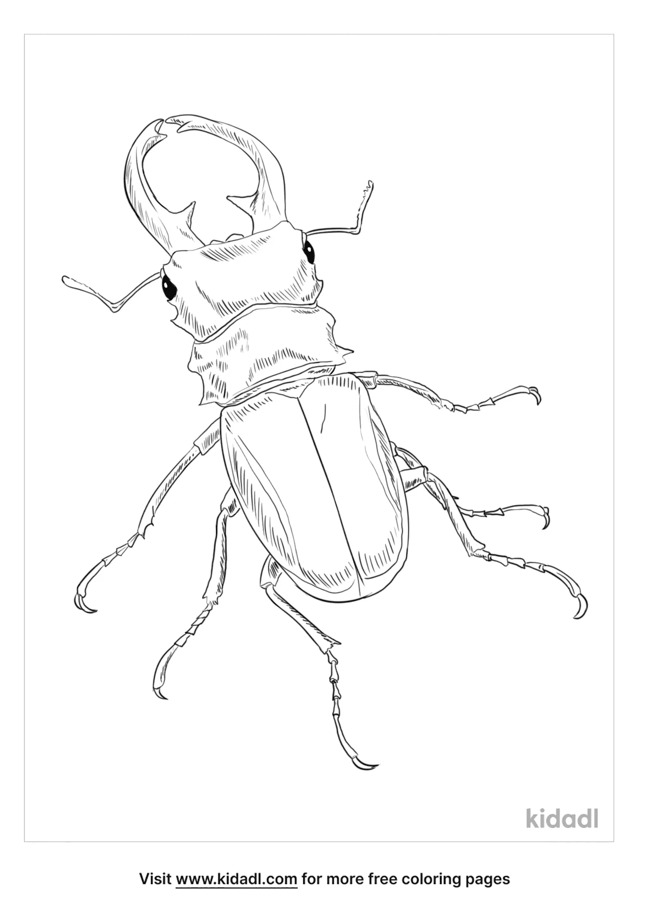 Free giant stag beetle coloring page coloring page printables