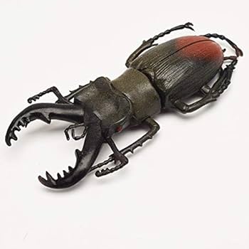 Hosfairy halloween entomological bugs model for party favours style random pcs toys games