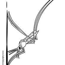 Stag beetle coloring pages