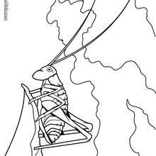 Stag beetle coloring pages