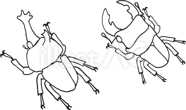Free vectors coloring beetles and stag beetles