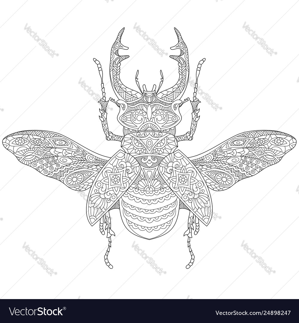 Stag beetle adult coloring page royalty free vector image