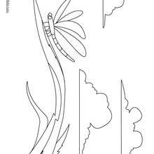 Stag beetle coloring pages