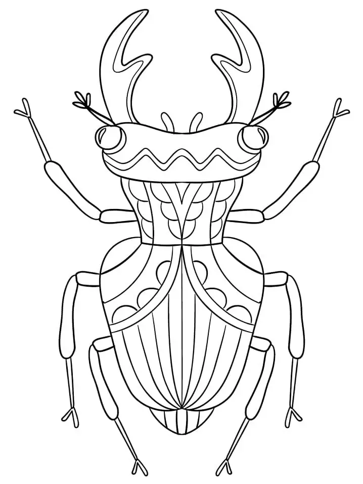 Stag beetle printable coloring page