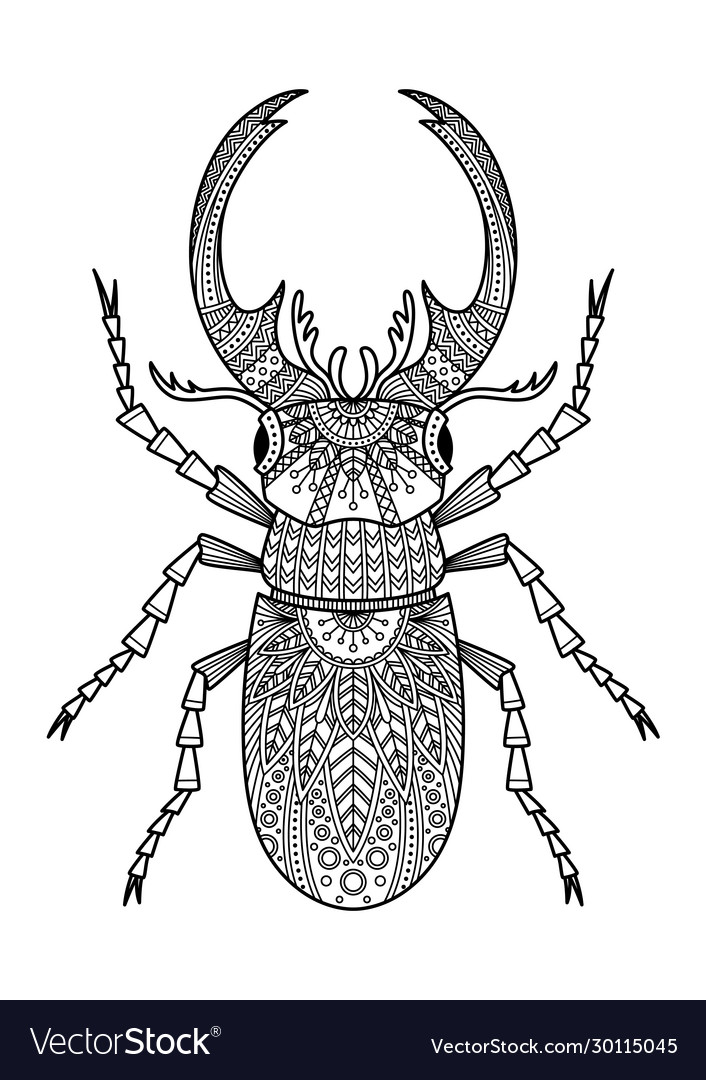 Stag beetle anti