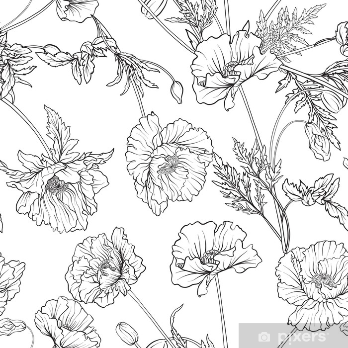 Sheer window curtain seamless pattern with poppy flowers in botanical vintage style outline hand drawing coloring page for adult coloring book stock line vector illustration