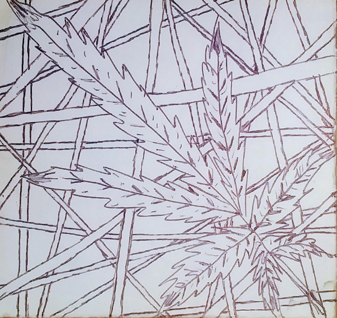 Pot leaf coloring page by fuckerm on