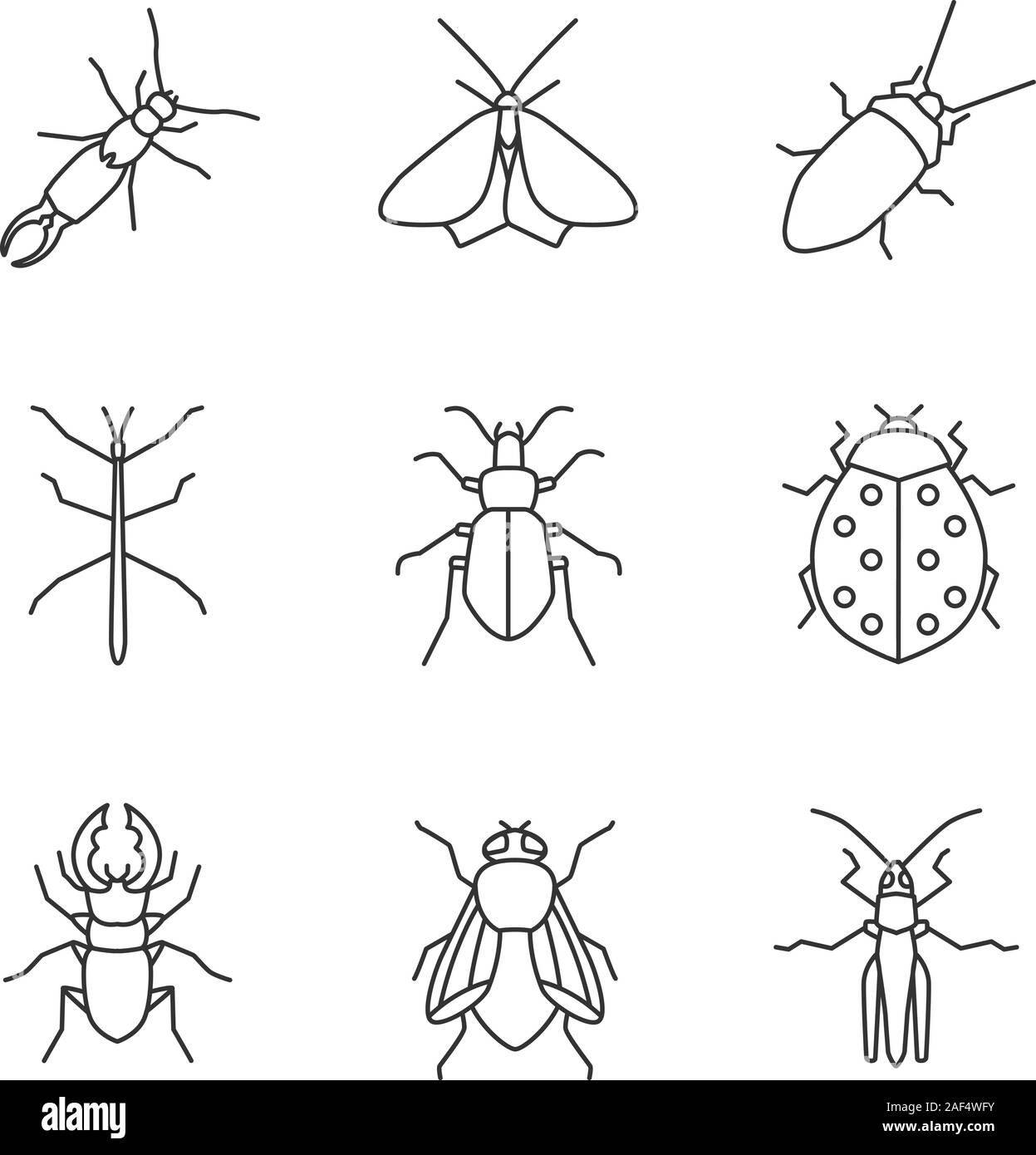 Stick bug black and white stock photos images