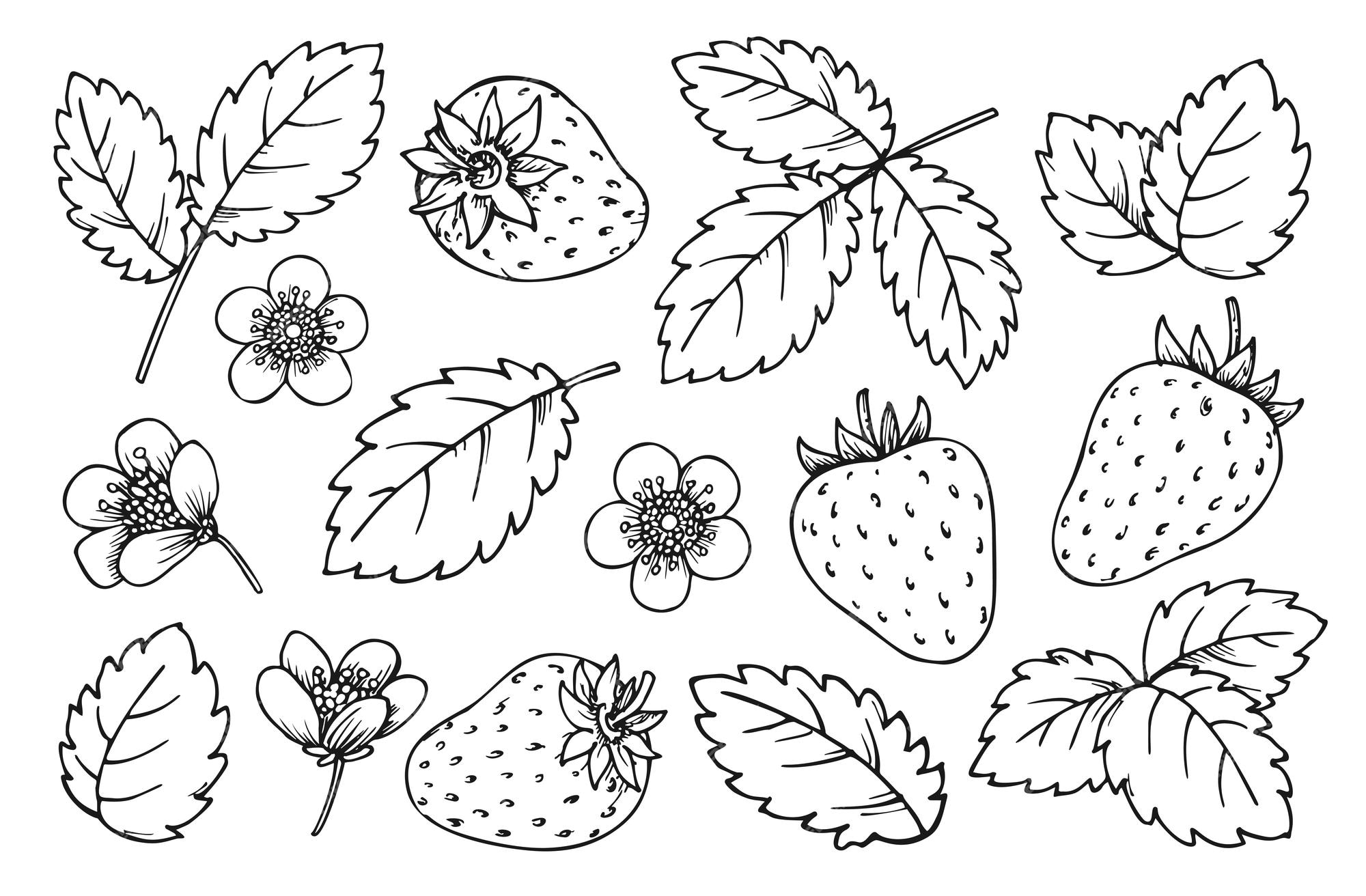 Premium vector strawberry line set black and white berries leaves flowers hand drawn strawberries for coloring book page scrapbook stencil foil diy card nail stamp laser engraving badge pin fruit tag label