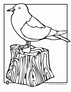 Summer coloring pages animals at the beach animal jr