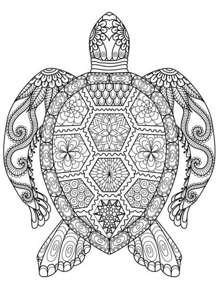 Get this adults printable summer coloring pages