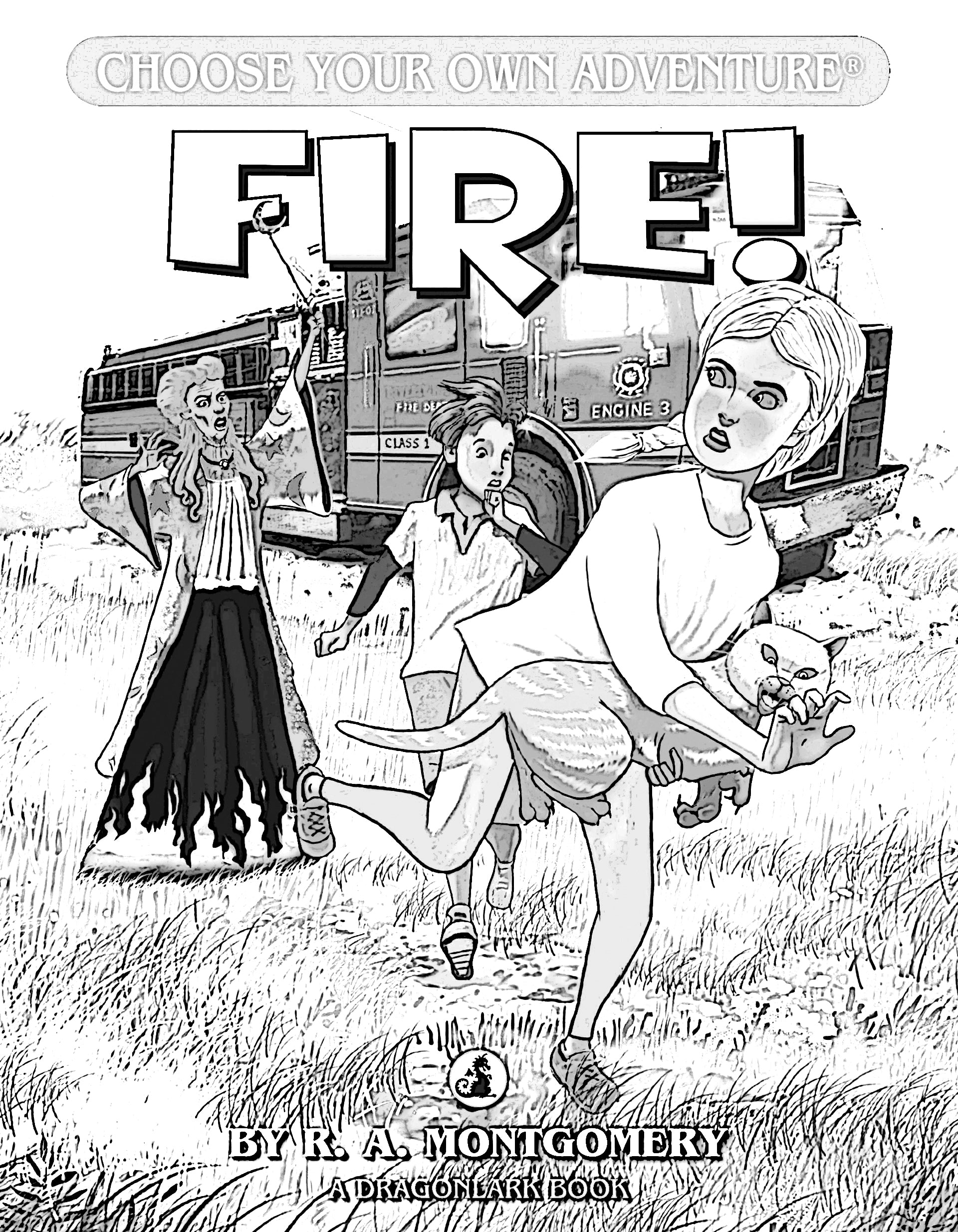 Summer reading fun â chooseco llc