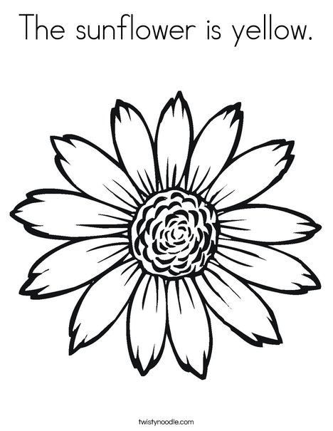 The sunflower is yellow coloring page