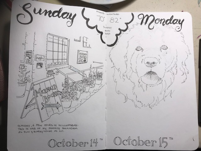 Sunday and mondays journal how do you paint a black dog â