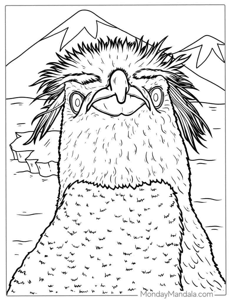 Penguin coloring pages free pdf printables