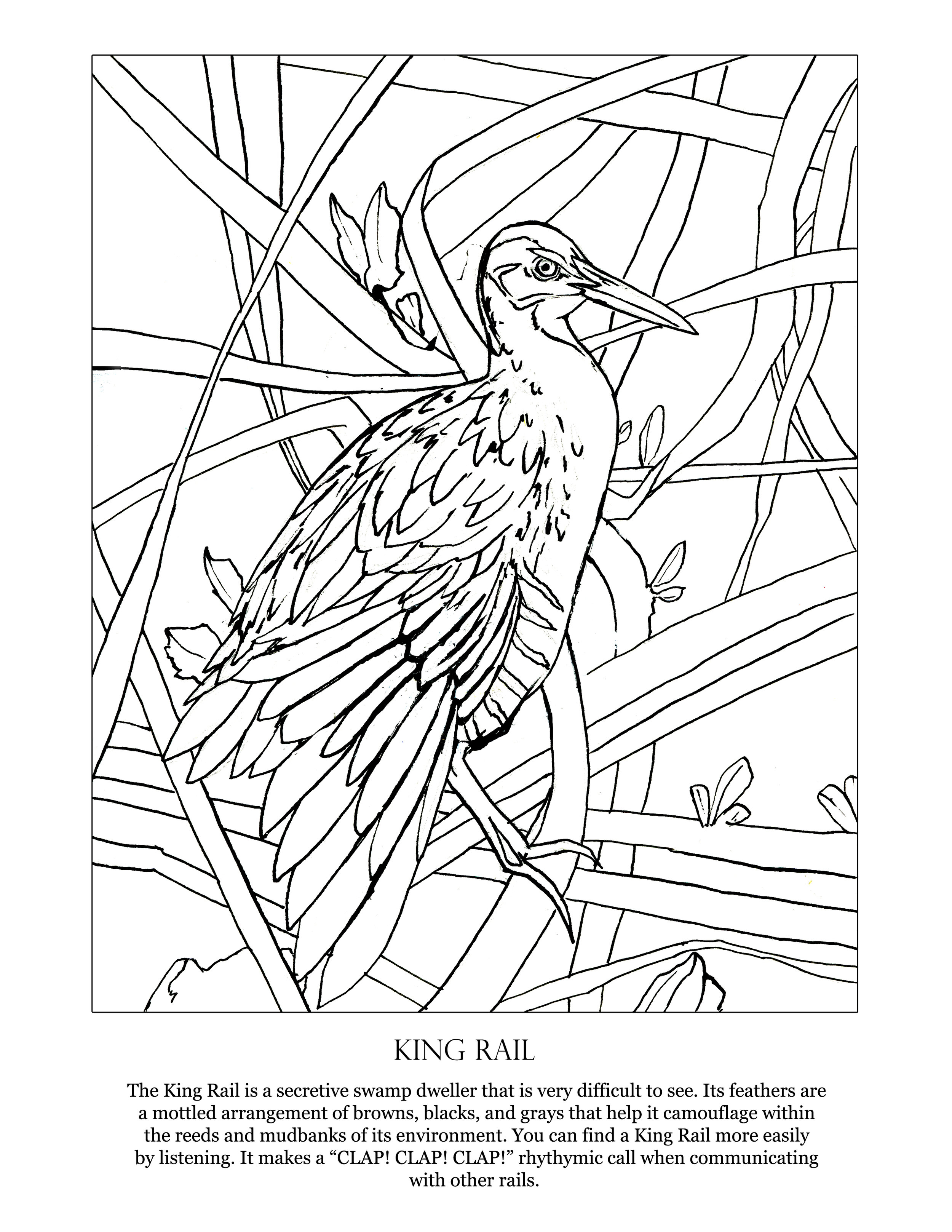 Coloring pages â home