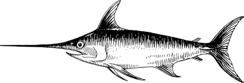 Vintage swordfish coloring page free printable coloring pages