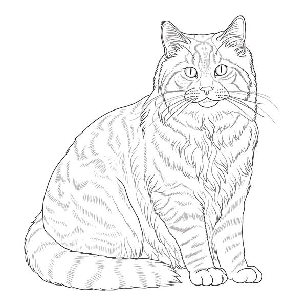 Free printable cat coloring pages list