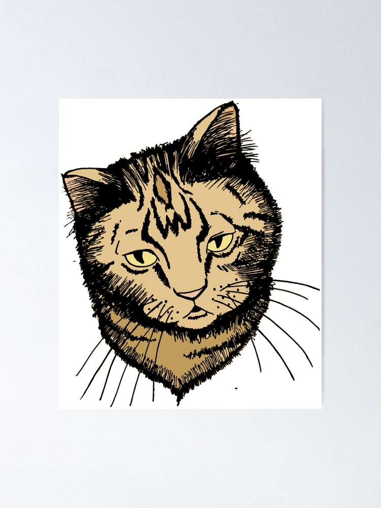 Orange tabby cat drawing line art adult coloring page digital art print poster for sale by lastminutelaura