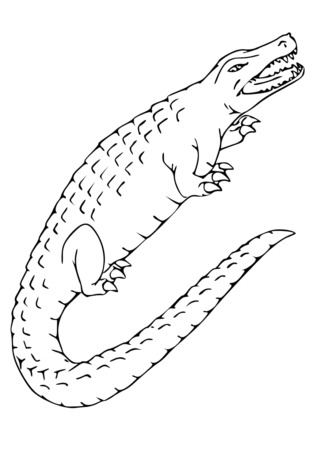 Free printable crocodile tail coloring page for adults and kids