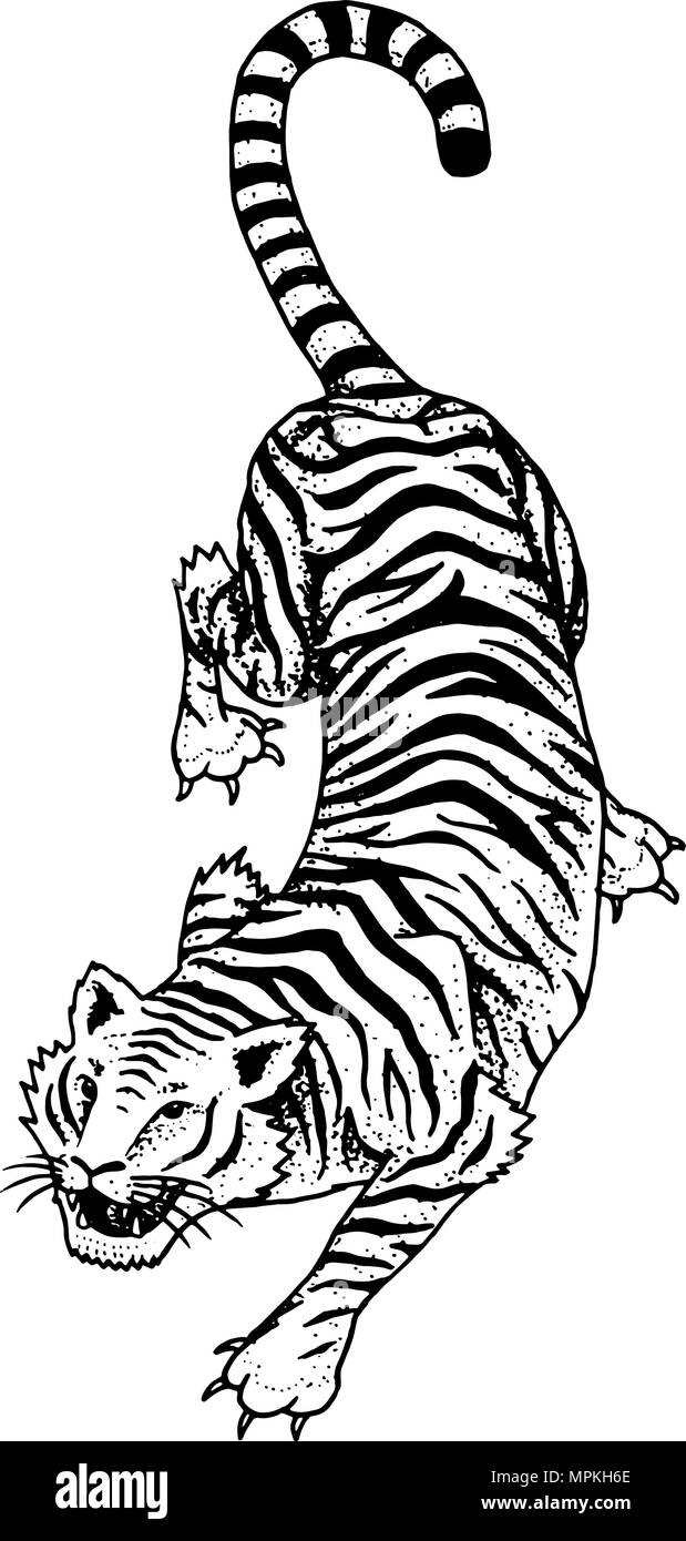 Ilustraciãn de tigre japon fotografãas e imãgen de alta roluciãn