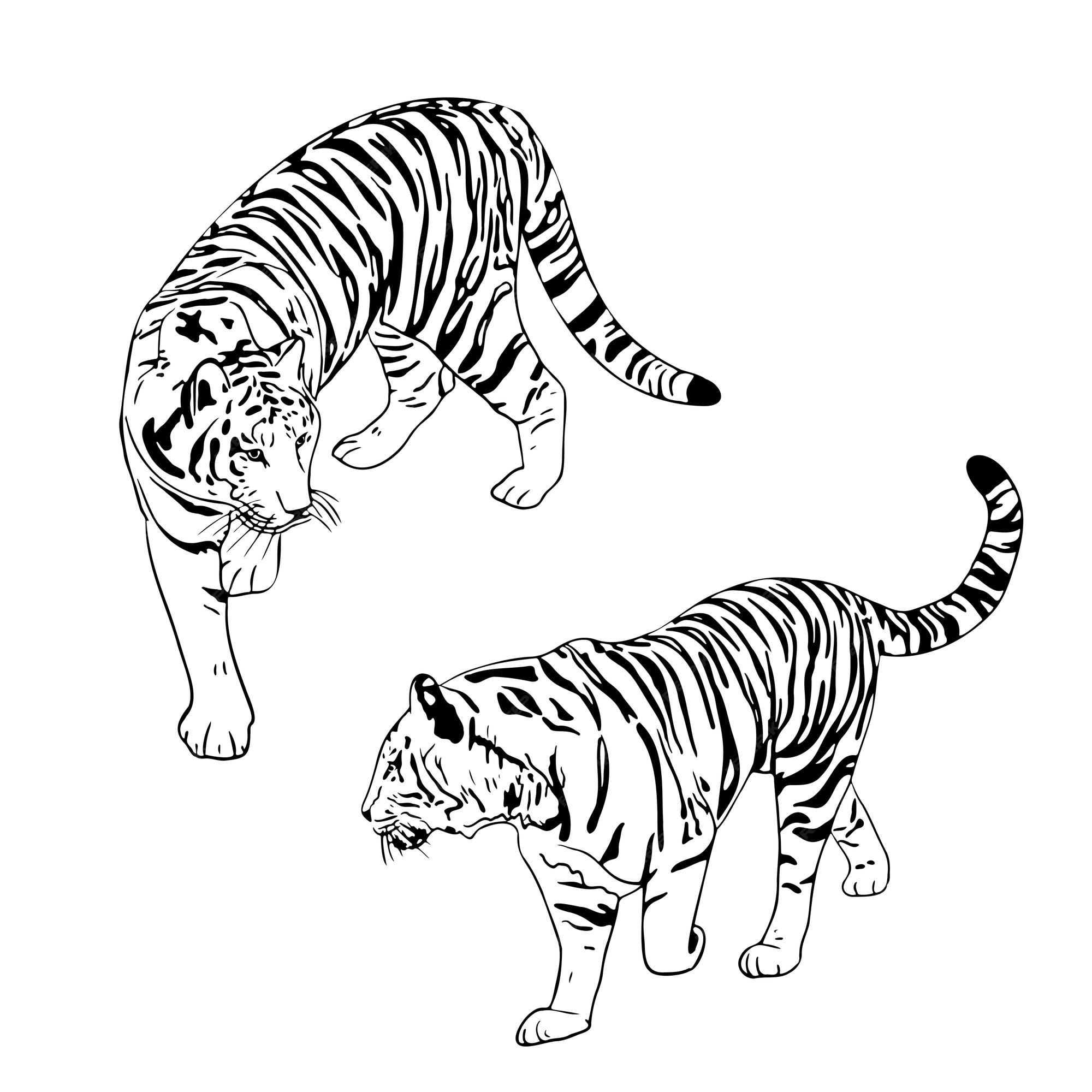 Dos tigr siluetas negras sobre fondo blanco tigre chino simple boceto realista vector premium