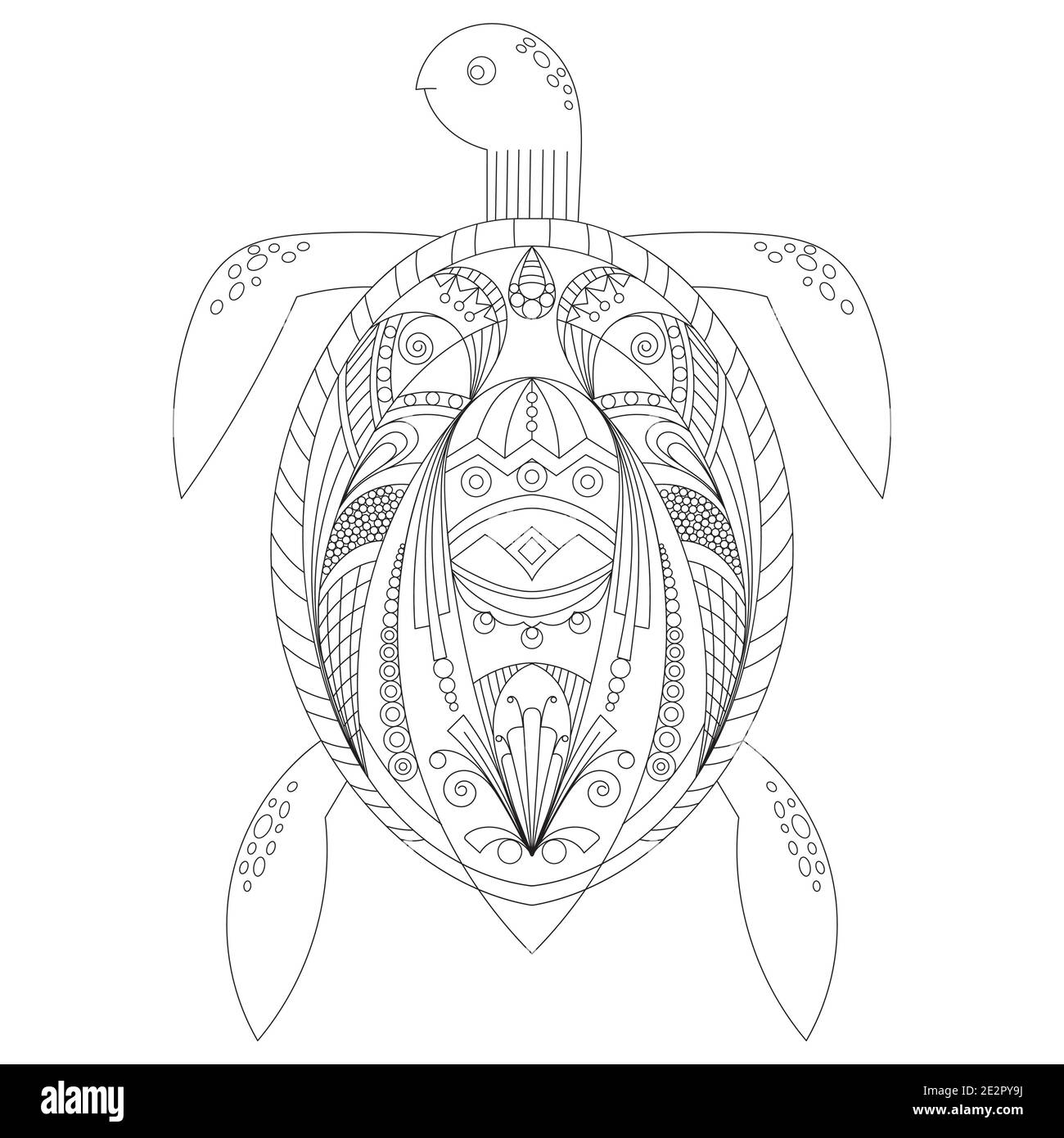 Tatuaje de tortuga fotografãas e imãgen de alta roluciãn