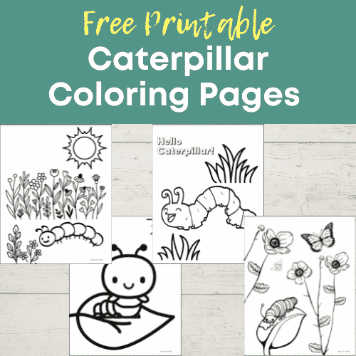 Cute caterpillar coloring pages for kids free printables