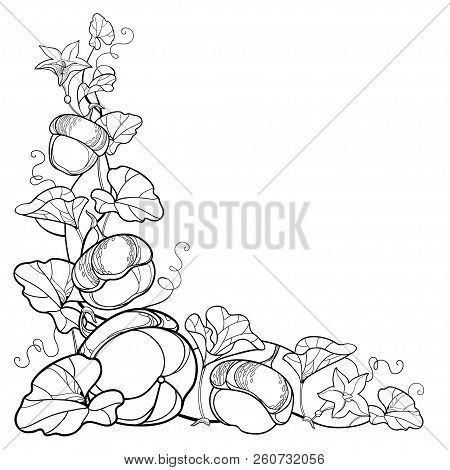 Vector corner vector photo free trial bigstock