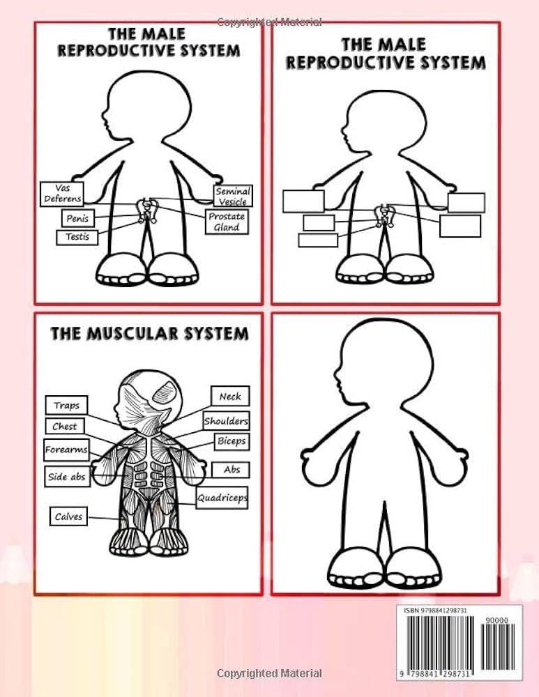 Human anatomy activity book for kids amazing body parts organ name coloring workbook for learning toddler activities preschool homeschool curriculum joy rainbow books