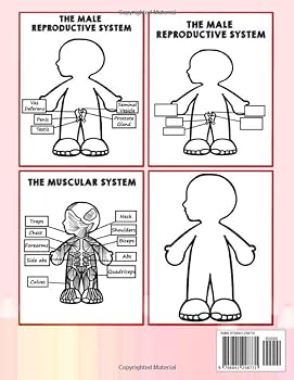 Human anatomy activity book for kids amazing body parts organ name coloring workbook for learning toddler activities preschool homeschool curriculum joy rainbow books