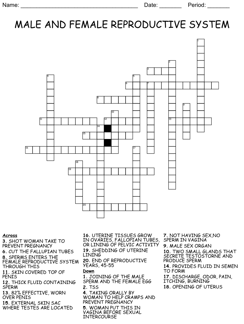 Male and female reproductive system crossword