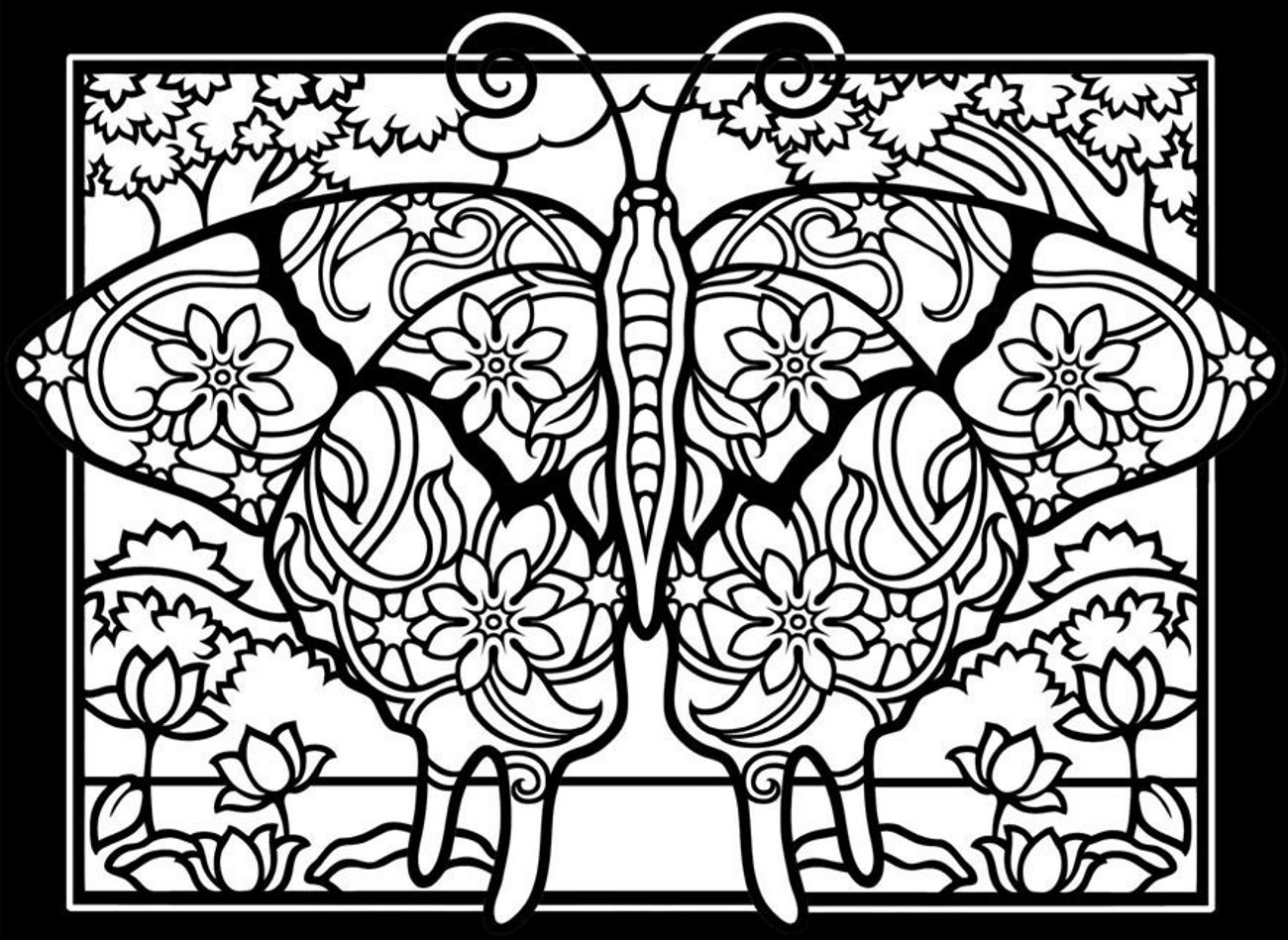 Butterflies black background