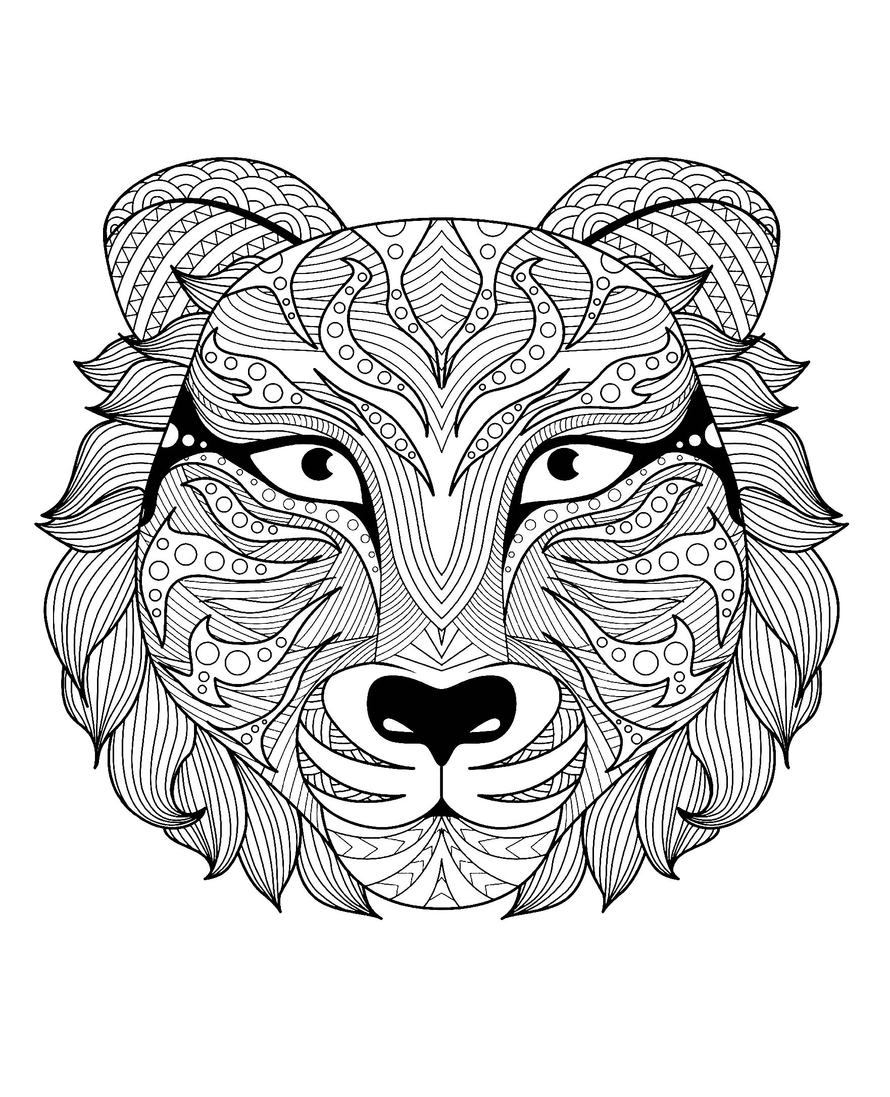 Tiger head