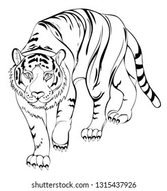 Stylized tiger black white page coloring stock vector royalty free